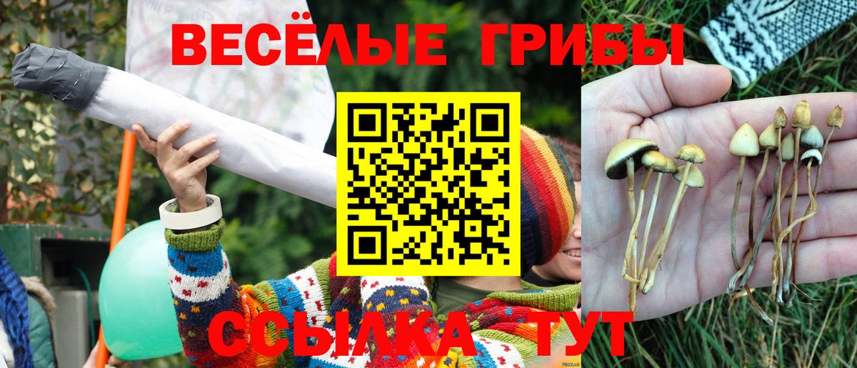 Псилоцибиновые грибы ЛСД  Вход с VPN  Псилоцибиновые грибы Magic Shrooms  Ногинск 